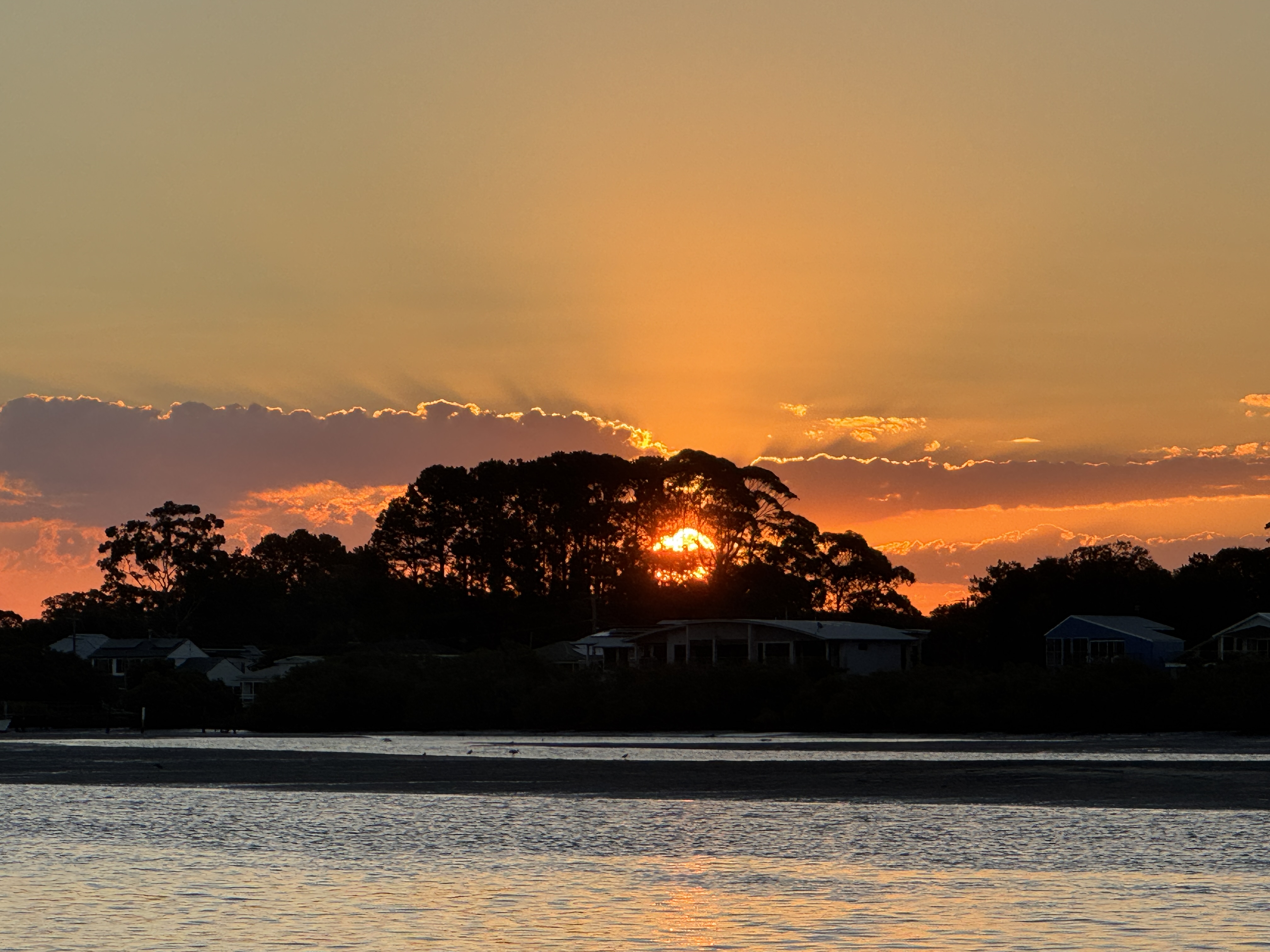 Sunset over Tea Gardens waterway with silhouetted trees
